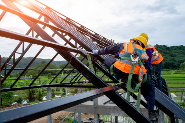 Best Metal Roofing Contractor  in Carrollton, VA