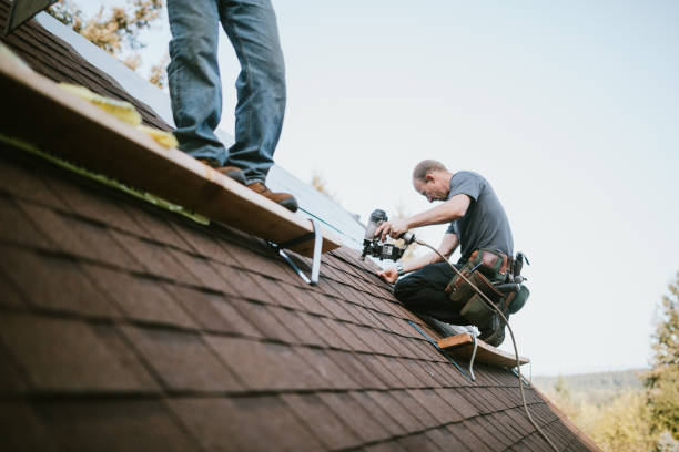 Best Roof Leak Repair  in Carrollton, VA